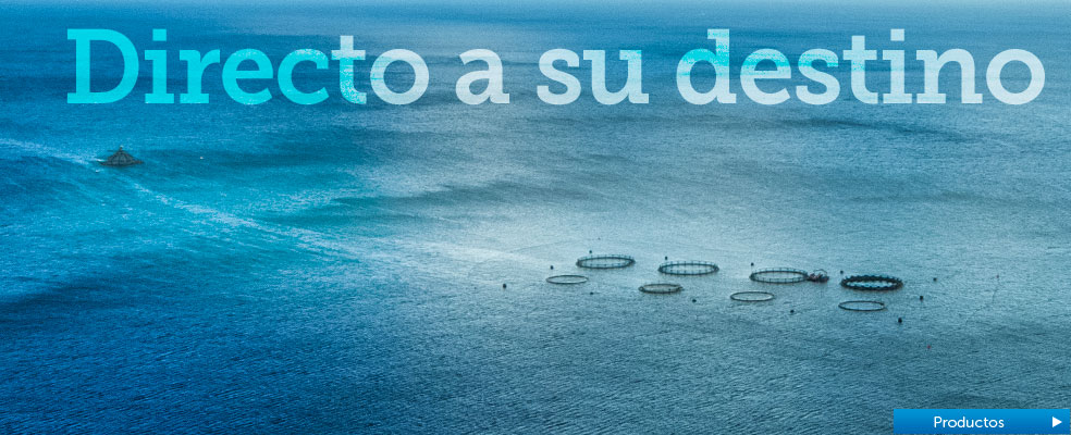 Productos